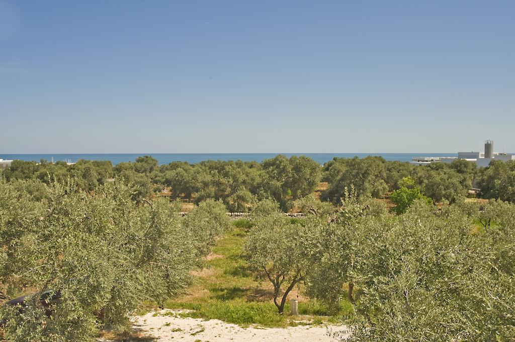 Masseria Spina Resort Monopoli Ruang foto